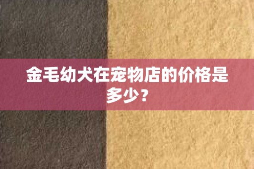 金毛幼犬在宠物店的价格是多少？