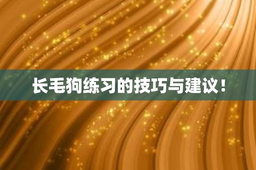 长毛狗练习的技巧与建议！