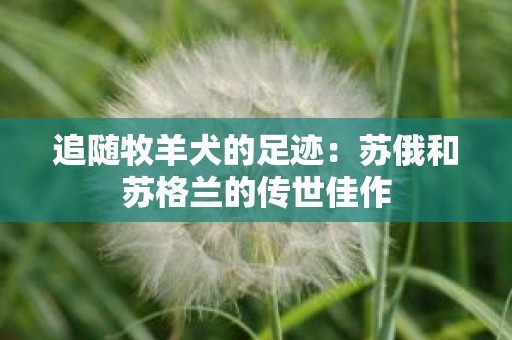 追随牧羊犬的足迹：苏俄和苏格兰的传世佳作
