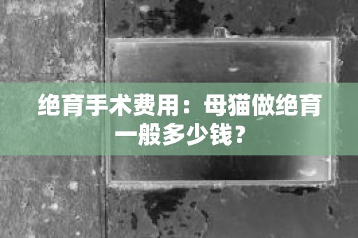 绝育手术费用：母猫做绝育一般多少钱？