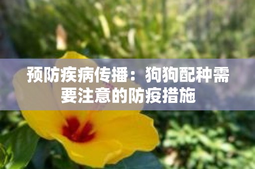 预防疾病传播：狗狗配种需要注意的防疫措施