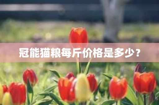 冠能猫粮每斤价格是多少？