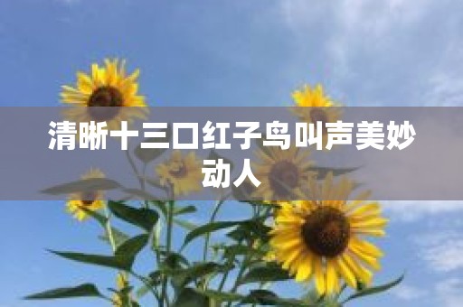 清晰十三口红子鸟叫声美妙动人