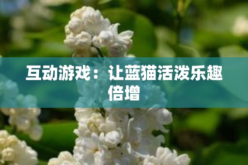 互动游戏：让蓝猫活泼乐趣倍增