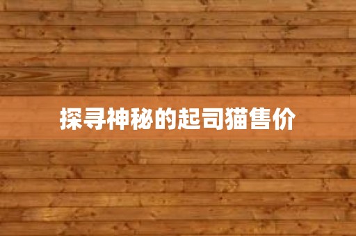 探寻神秘的起司猫售价