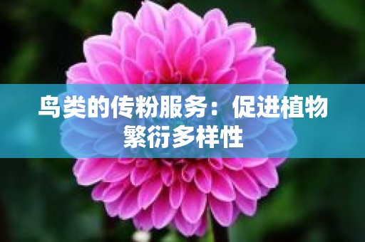 鸟类的传粉服务：促进植物繁衍多样性