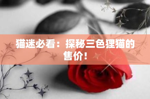 猫迷必看：探秘三色狸猫的售价！