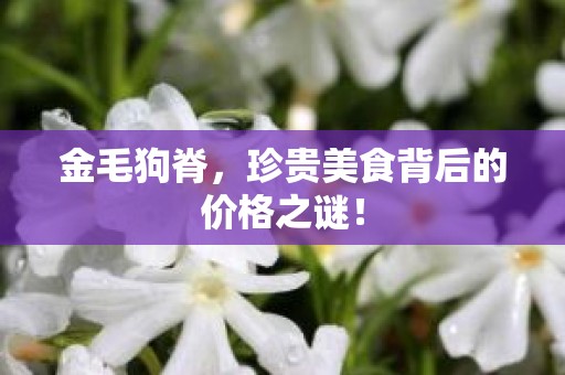 金毛狗脊，珍贵美食背后的价格之谜！