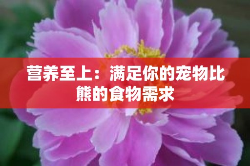 营养至上：满足你的宠物比熊的食物需求