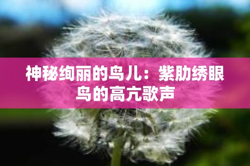 神秘绚丽的鸟儿：紫肋绣眼鸟的高亢歌声