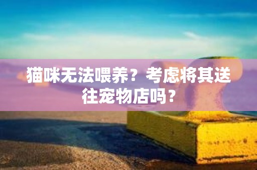 猫咪无法喂养？考虑将其送往宠物店吗？