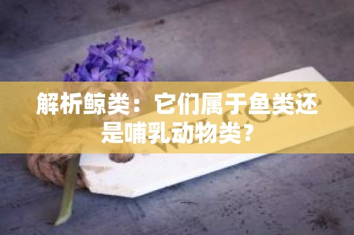 解析鲸类：它们属于鱼类还是哺乳动物类？