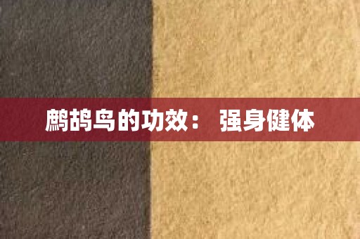 鹧鸪鸟的功效： 强身健体