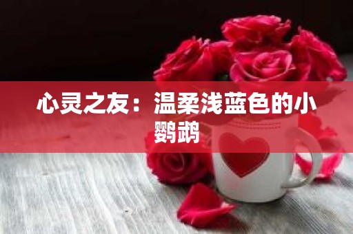 心灵之友：温柔浅蓝色的小鹦鹉