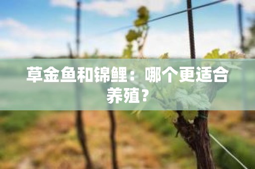 草金鱼和锦鲤：哪个更适合养殖？