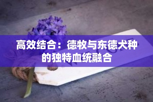 高效结合：德牧与东德犬种的独特血统融合