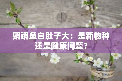 鹦鹉鱼白肚子大：是新物种还是健康问题？
