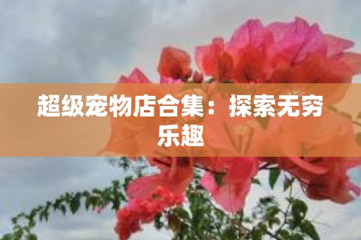 超级宠物店合集：探索无穷乐趣