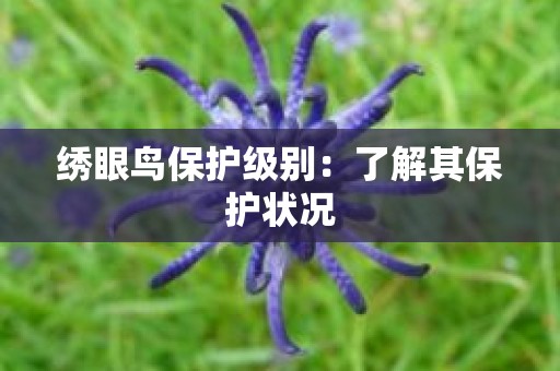 绣眼鸟保护级别：了解其保护状况