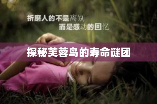 探秘芙蓉鸟的寿命谜团