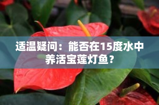适温疑问：能否在15度水中养活宝莲灯鱼？