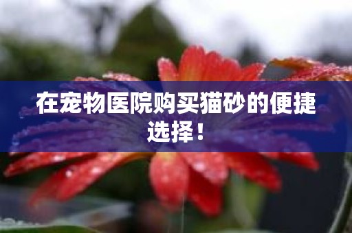 在宠物医院购买猫砂的便捷选择！