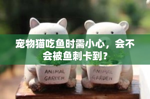 宠物猫吃鱼时需小心，会不会被鱼刺卡到？