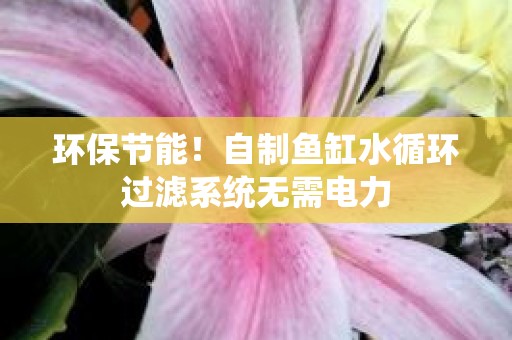 环保节能！自制鱼缸水循环过滤系统无需电力