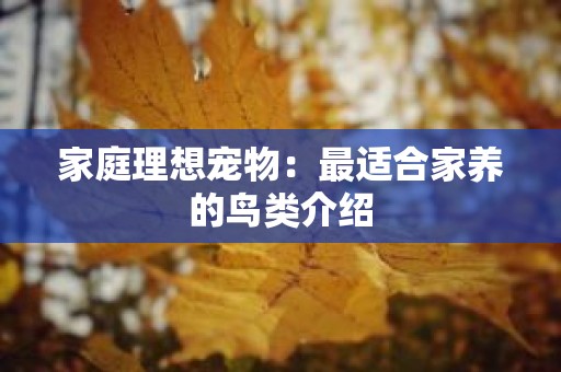 家庭理想宠物：最适合家养的鸟类介绍
