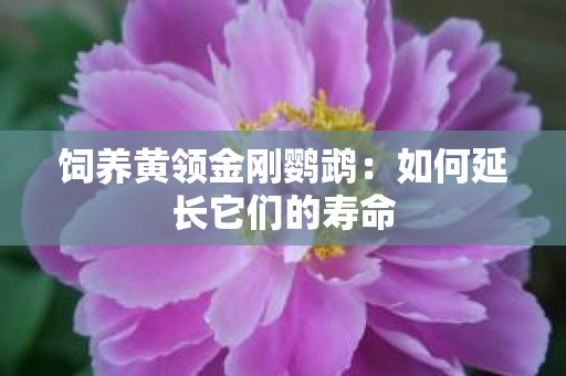 饲养黄领金刚鹦鹉：如何延长它们的寿命