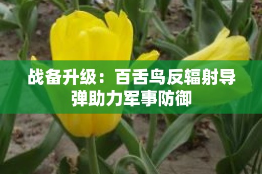 战备升级：百舌鸟反辐射导弹助力军事防御