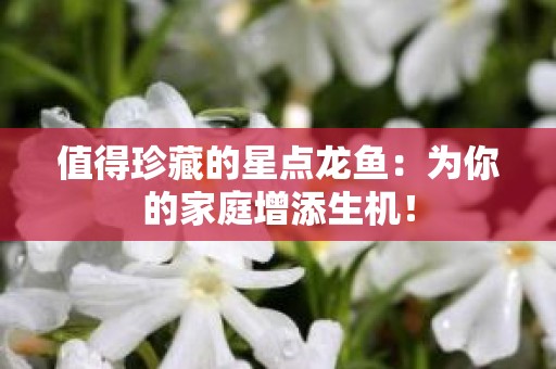 值得珍藏的星点龙鱼：为你的家庭增添生机！