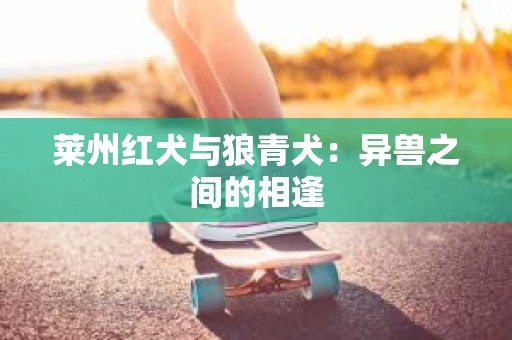 莱州红犬与狼青犬：异兽之间的相逢