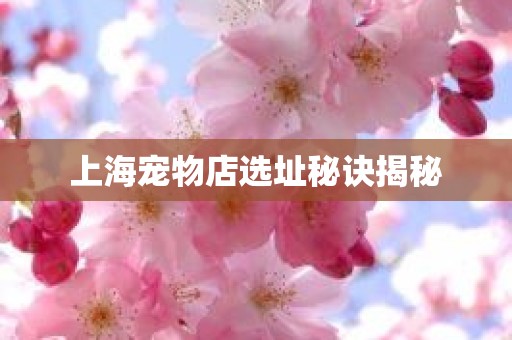 上海宠物店选址秘诀揭秘