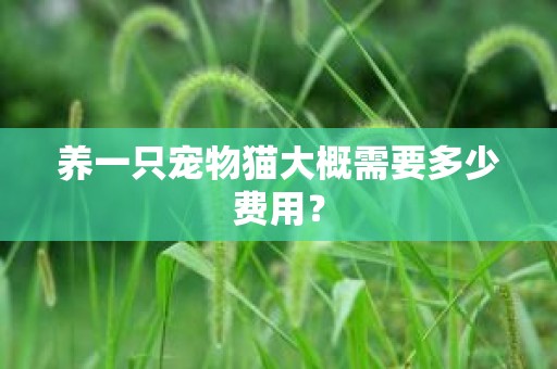 养一只宠物猫大概需要多少费用？