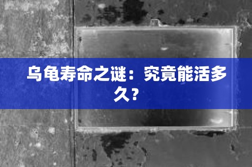 乌龟寿命之谜：究竟能活多久？