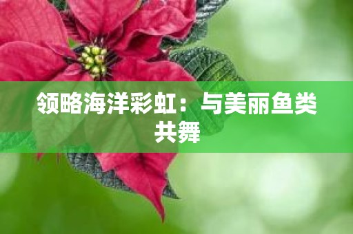 领略海洋彩虹：与美丽鱼类共舞