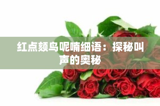红点颏鸟呢喃细语：探秘叫声的奥秘