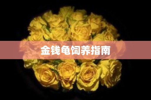 金钱龟饲养指南