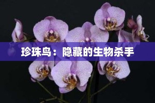 珍珠鸟：隐藏的生物杀手