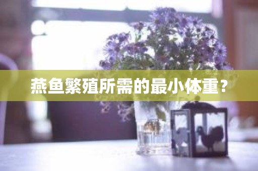 燕鱼繁殖所需的最小体重？