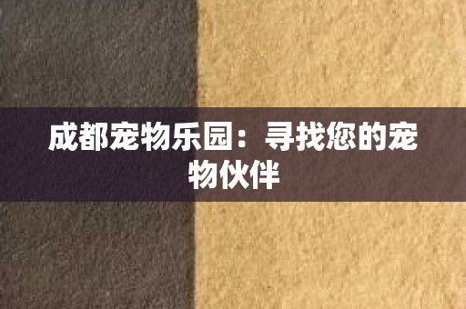 成都宠物乐园：寻找您的宠物伙伴