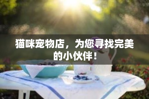 猫咪宠物店，为您寻找完美的小伙伴！