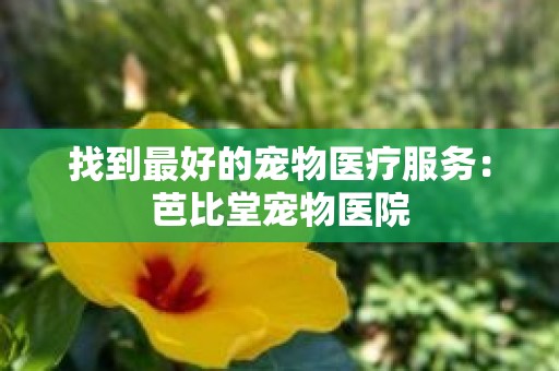找到最好的宠物医疗服务：芭比堂宠物医院