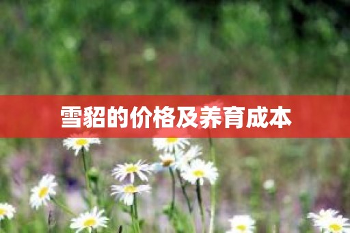 雪貂的价格及养育成本