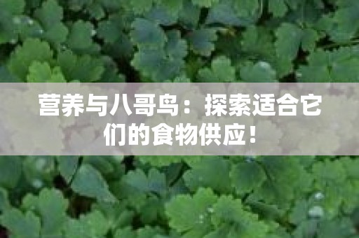 营养与八哥鸟：探索适合它们的食物供应！