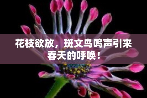 花枝欲放，斑文鸟鸣声引来春天的呼唤！