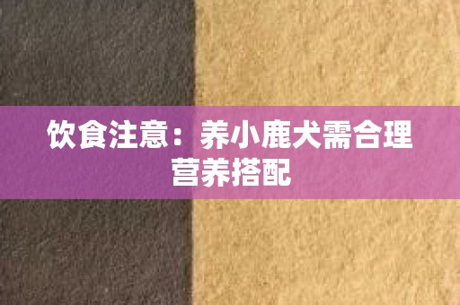 饮食注意：养小鹿犬需合理营养搭配