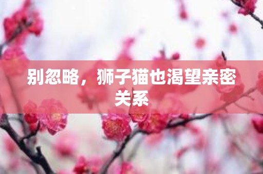 别忽略，狮子猫也渴望亲密关系