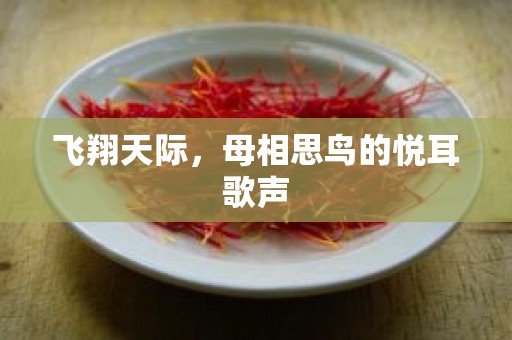 飞翔天际，母相思鸟的悦耳歌声